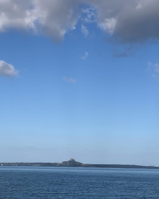 本部釣りイカダ 釣果