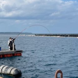 本部釣りイカダ 釣果