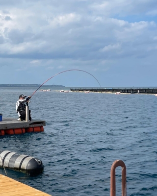 本部釣りイカダ 釣果