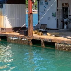 本部釣りイカダ 釣果