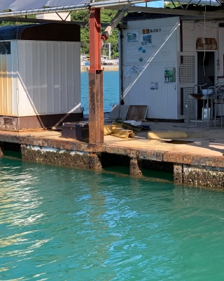 本部釣りイカダ 釣果