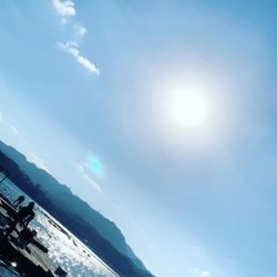 本部釣りイカダ 釣果