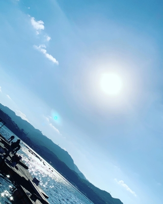 本部釣りイカダ 釣果