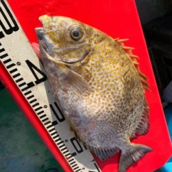 本部釣りイカダ 釣果