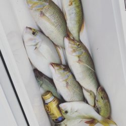 本部釣りイカダ 釣果