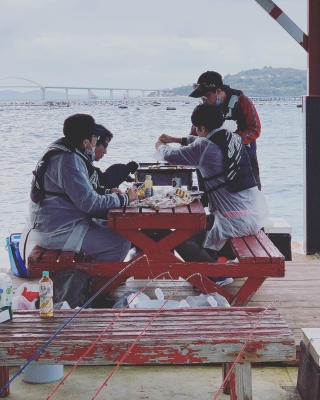 本部釣りイカダ 釣果