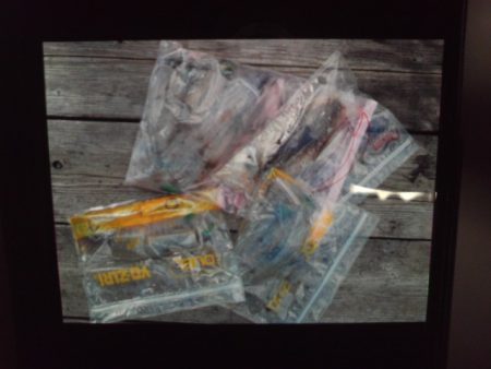 こかわ渡船　雅丸 釣果