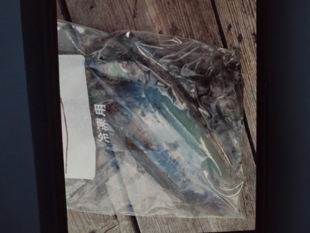 こかわ渡船　雅丸 釣果