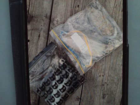 こかわ渡船　雅丸 釣果