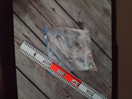 こかわ渡船　雅丸 釣果