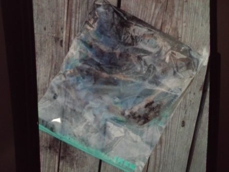 こかわ渡船　雅丸 釣果