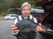 春日丸 釣果