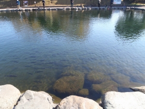 朝霞ガーデン 釣果