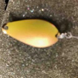 フィッシング サンクチュアリ 釣果