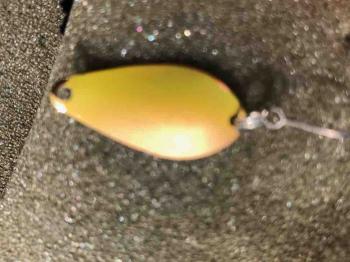 フィッシング サンクチュアリ 釣果