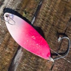 フィッシング サンクチュアリ 釣果