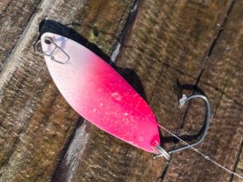 フィッシング サンクチュアリ 釣果