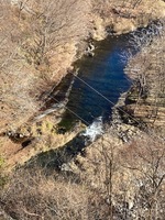 秩父フライフィールド 釣果