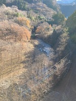 秩父フライフィールド 釣果