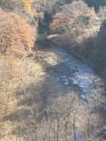 秩父フライフィールド 釣果