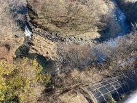 秩父フライフィールド 釣果