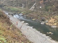 秩父フライフィールド 釣果