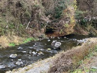 秩父フライフィールド 釣果