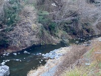 秩父フライフィールド 釣果