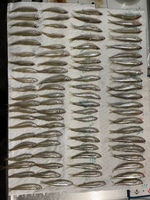 秩父フライフィールド 釣果