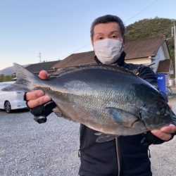 千津丸 釣果