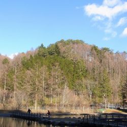 平谷湖フィッシングスポット 釣果