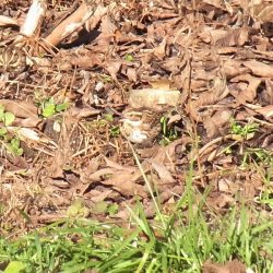 平谷湖フィッシングスポット 釣果