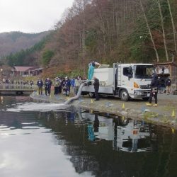 平谷湖フィッシングスポット 釣果