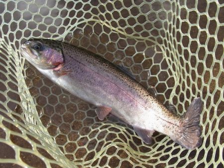 平谷湖フィッシングスポット 釣果