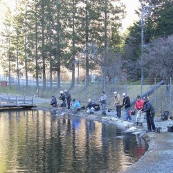 平谷湖フィッシングスポット 釣果