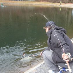 平谷湖フィッシングスポット 釣果