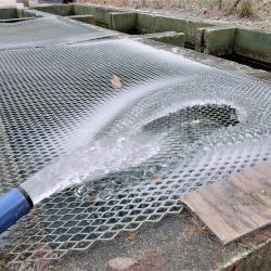 平谷湖フィッシングスポット 釣果