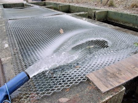 平谷湖フィッシングスポット 釣果