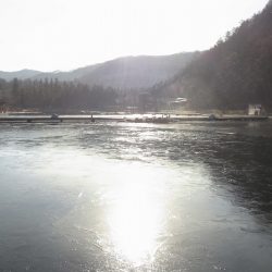 平谷湖フィッシングスポット 釣果