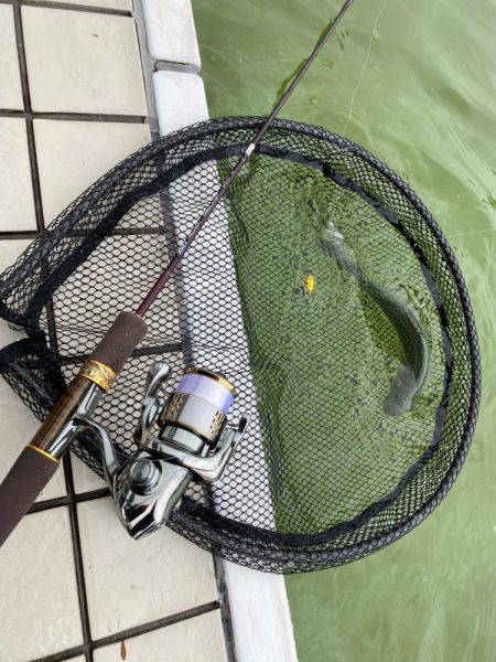 雪の舞う中エリアトラウト