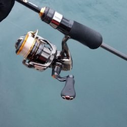 釣れないアジング