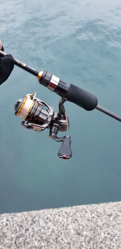 釣れないアジング