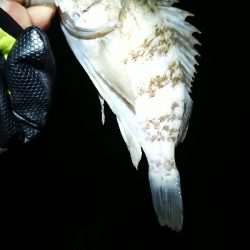 調子には乗れず