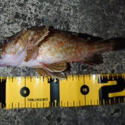 ウキ釣りとちょい投げ釣り、たまにメバリング