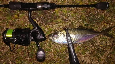 2022釣り始めアジング