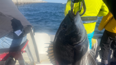 釣り始め 晴天でも大潮は・・・