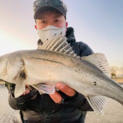 ファーストフィッシュ