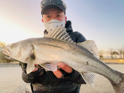 ファーストフィッシュ