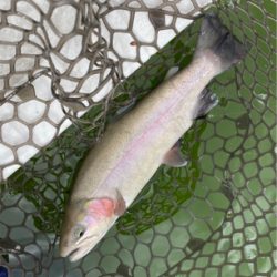 激渋でもデッドスローで何とか！