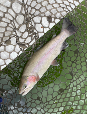 激渋でもデッドスローで何とか！